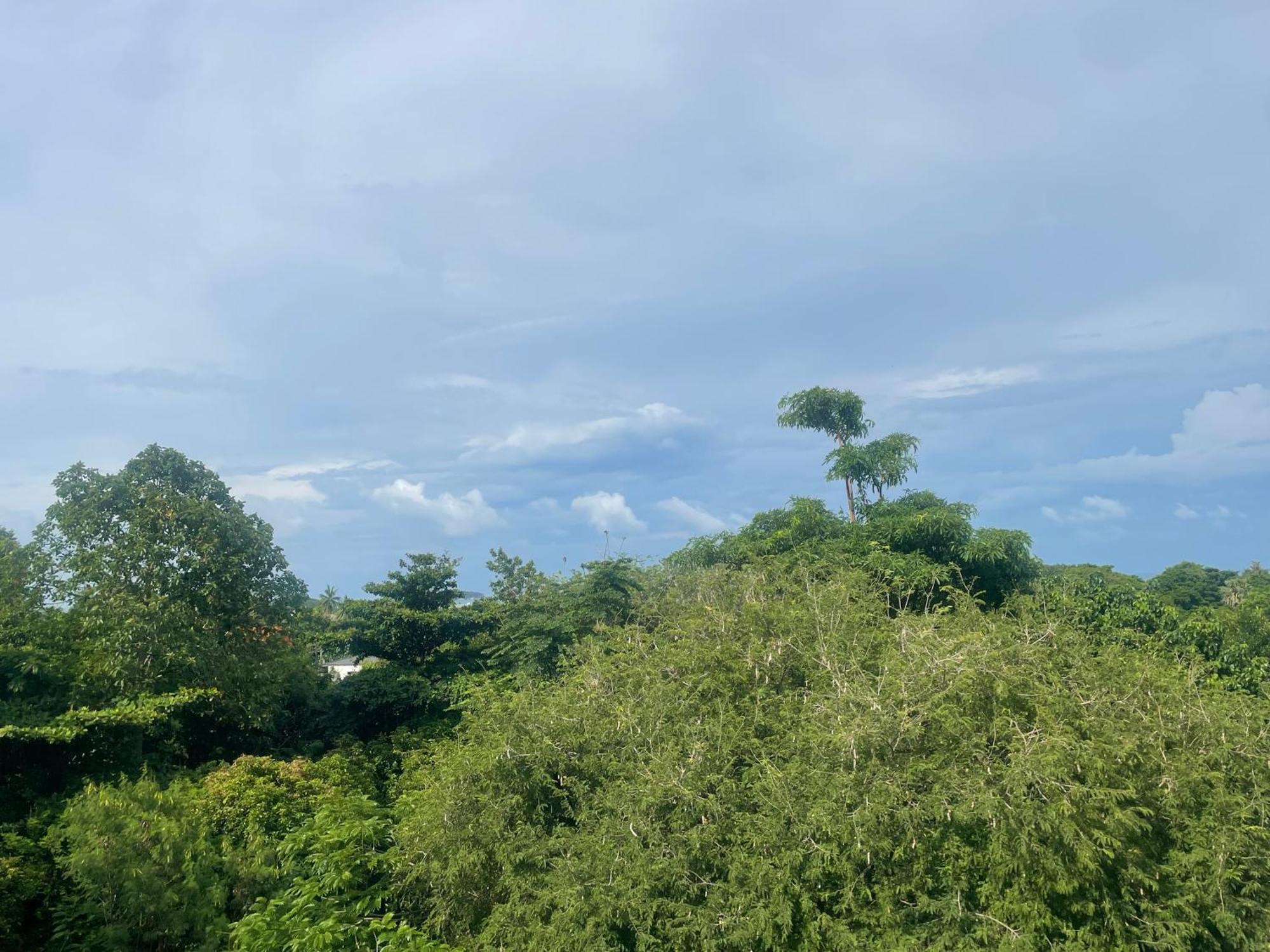 Le Grand Bleu * Koh Samui